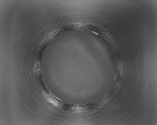 X0000078280419200611031213