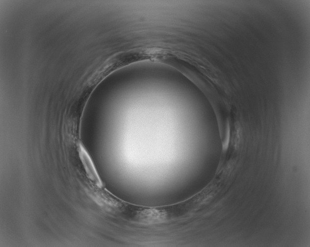 X0000078280421200611031213