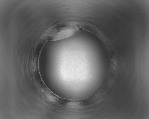 X0000078280422200611031213