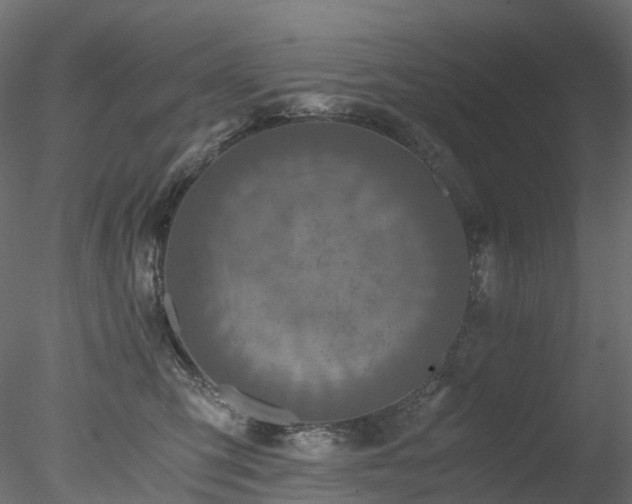 X0000078280423200611031213