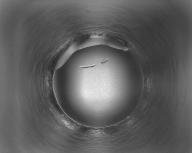 X0000078280424200611031213