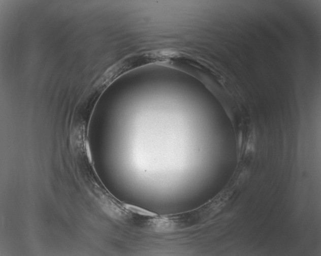 X0000078280425200611031213