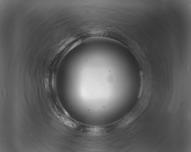 X0000078280432200611031213