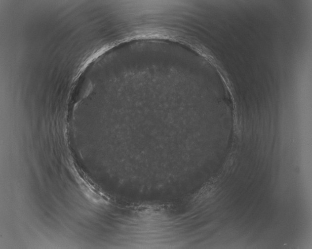 X0000078280434200611031212