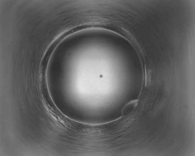 X0000078280435200611031212