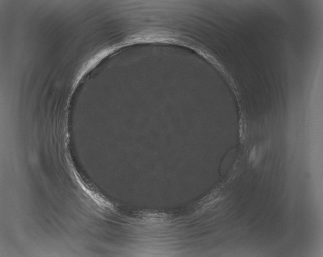 X0000078280438200611031212