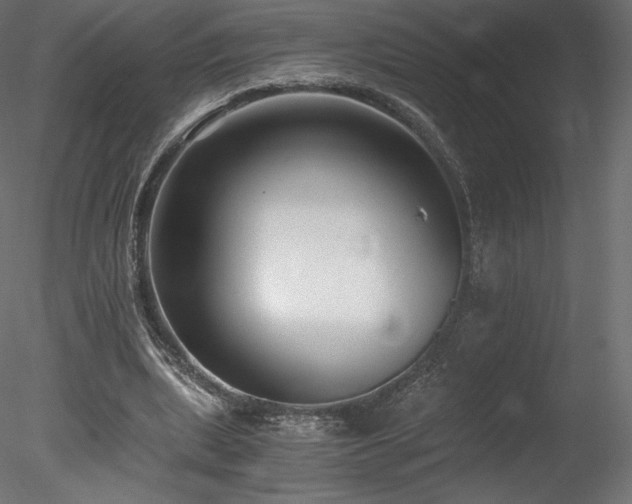 X0000078280439200611031212