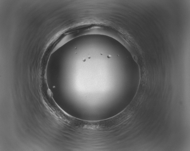 X0000078280440200611031212