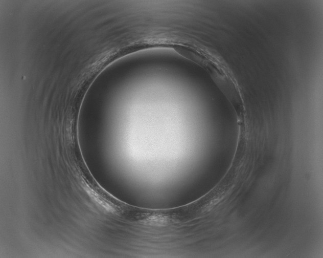 X0000078280441200611031212