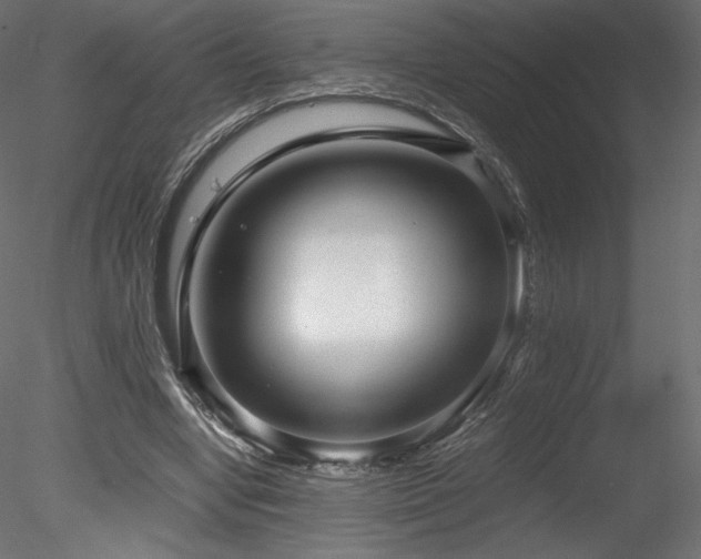 X0000078280442200611031212