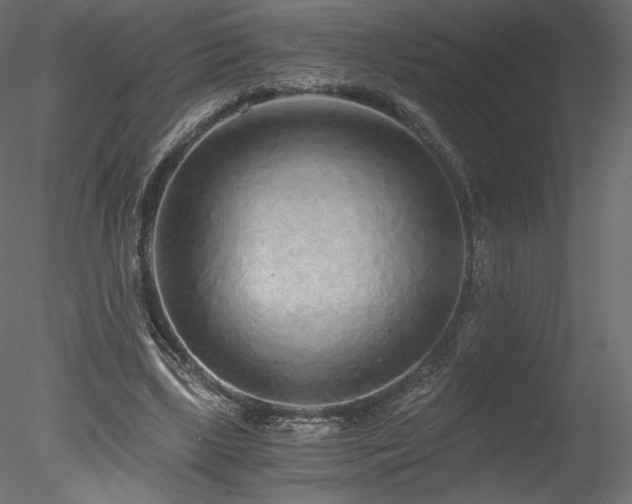 X0000078280443200611031212