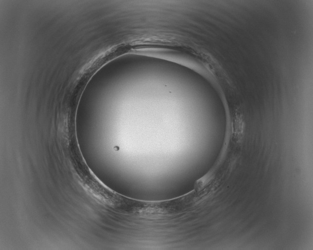 X0000078280444200611031212