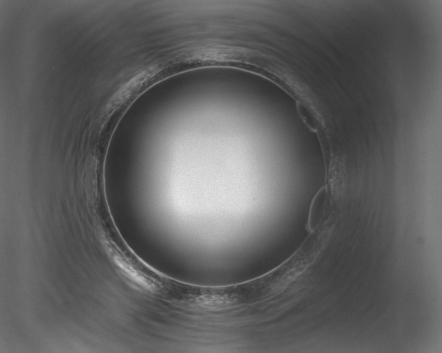 X0000078280445200611031212