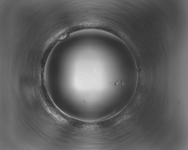 X0000078280446200611031212