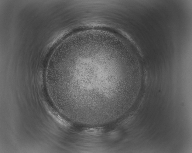 X0000078280447200611031212