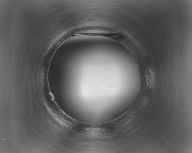 X0000078280448200611031213