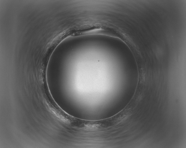 X0000078280450200611031213