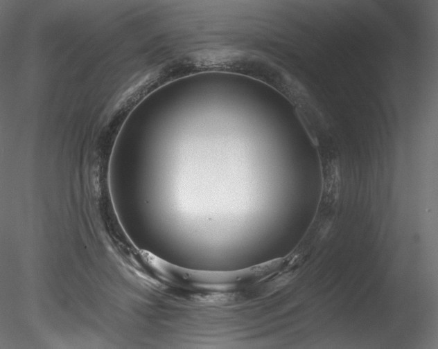 X0000078280452200611031213