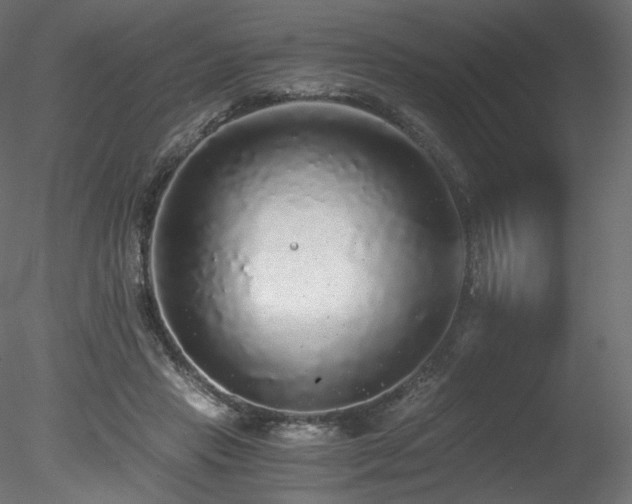 X0000078280453200611031213