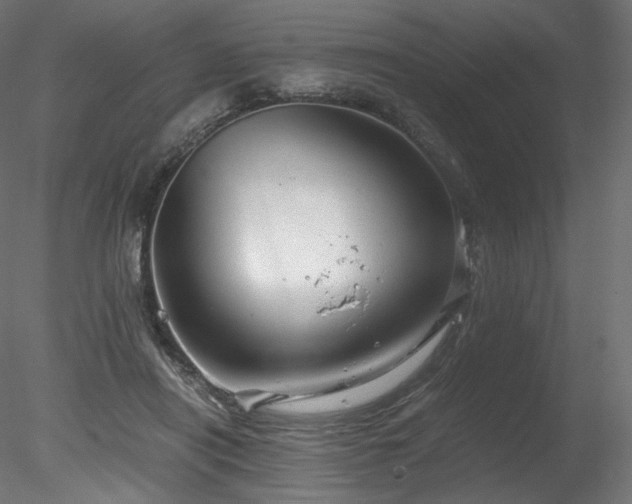 X0000078280454200611031213