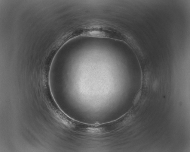 X0000078280457200611031213