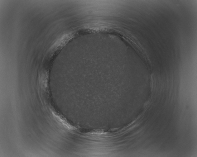 X0000078280458200611031213