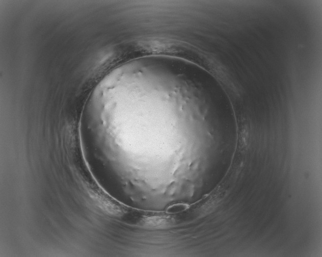 X0000078280461200611031213