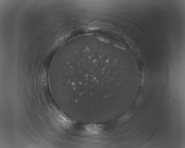 X0000078280465200611031213