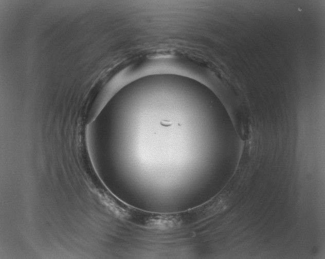 X0000078280466200611031213