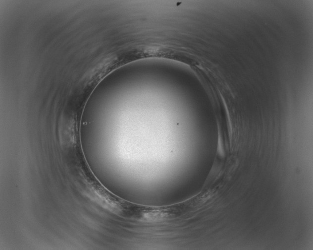 X0000078280470200611031213