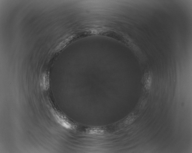 X0000078280471200611031213