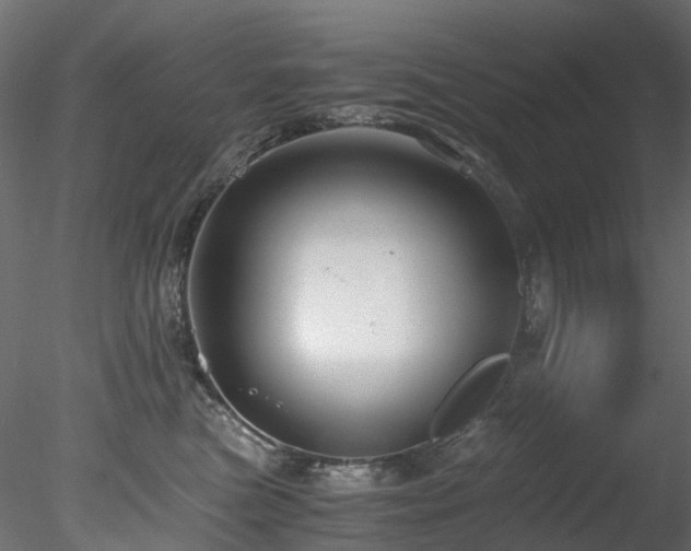 X0000078280473200611031213