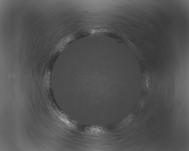 X0000078280475200611031213