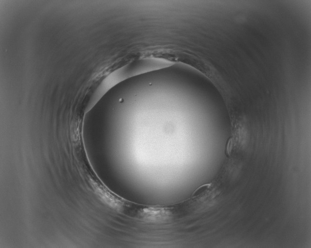 X0000078280477200611031213