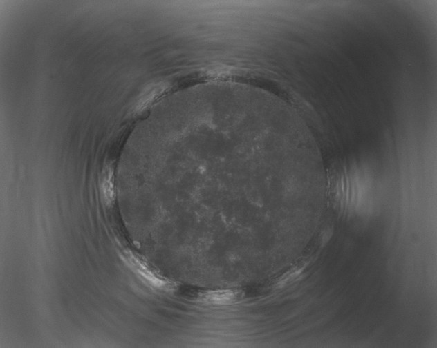 X0000078280479200611031213