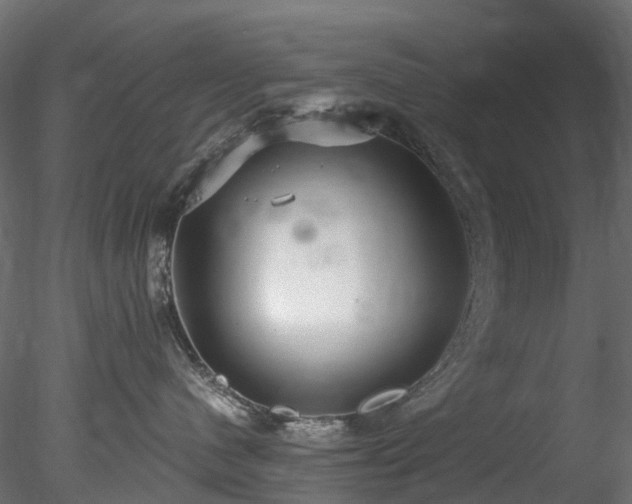 X0000078280480200611031213