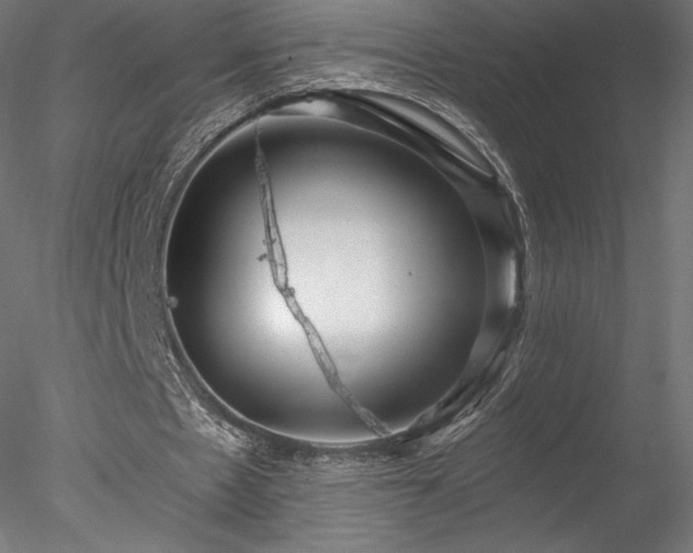 X0000078280481200611031212