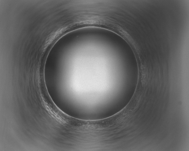 X0000078280482200611031212