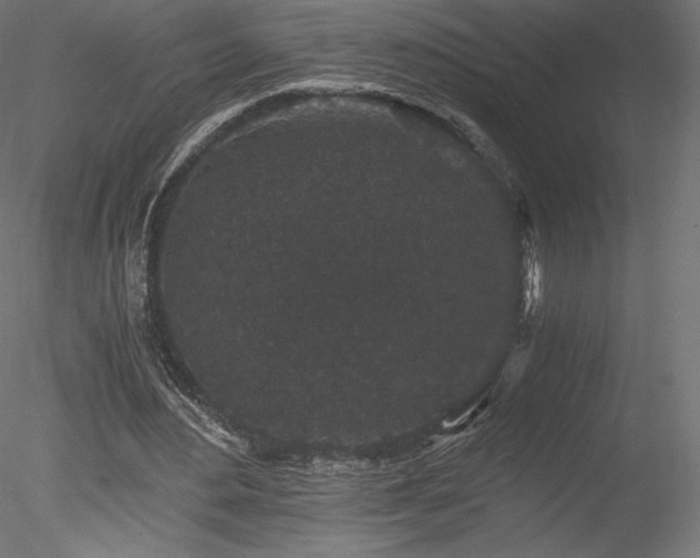 X0000078280484200611031212