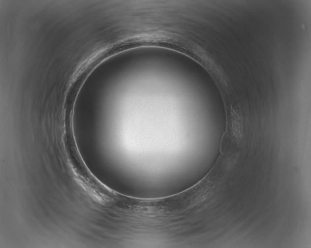 X0000078280486200611031212