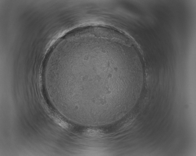 X0000078280487200611031212