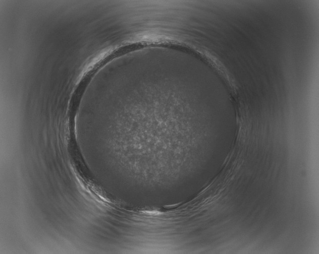 X0000078280488200611031212