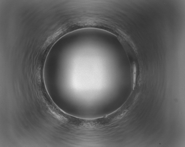 X0000078280489200611031212