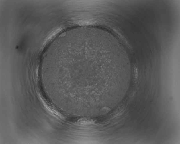 X0000078280491200611031212