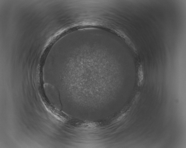 X0000078280492200611031212