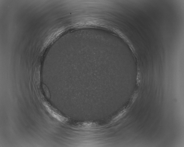 X0000078280493200611031212