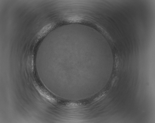 X0000078280494200611031212