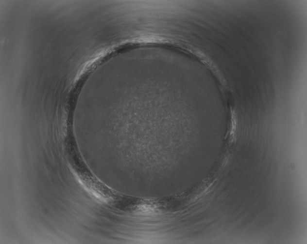 X0000078280496200611031212