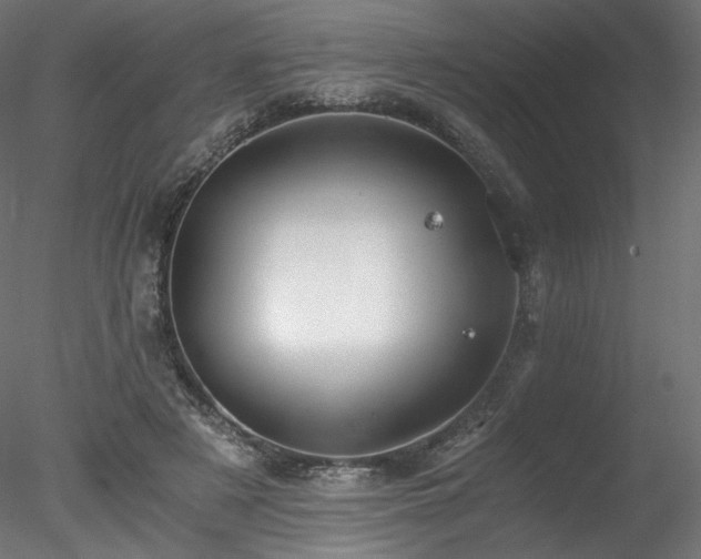 X0000078280497200611031212