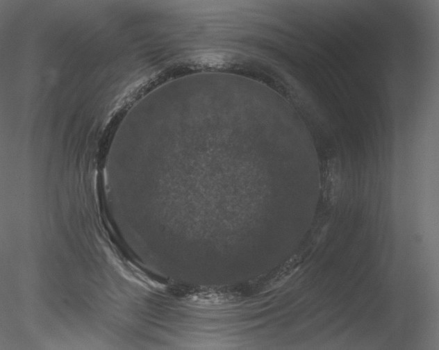 X0000078280500200611031212